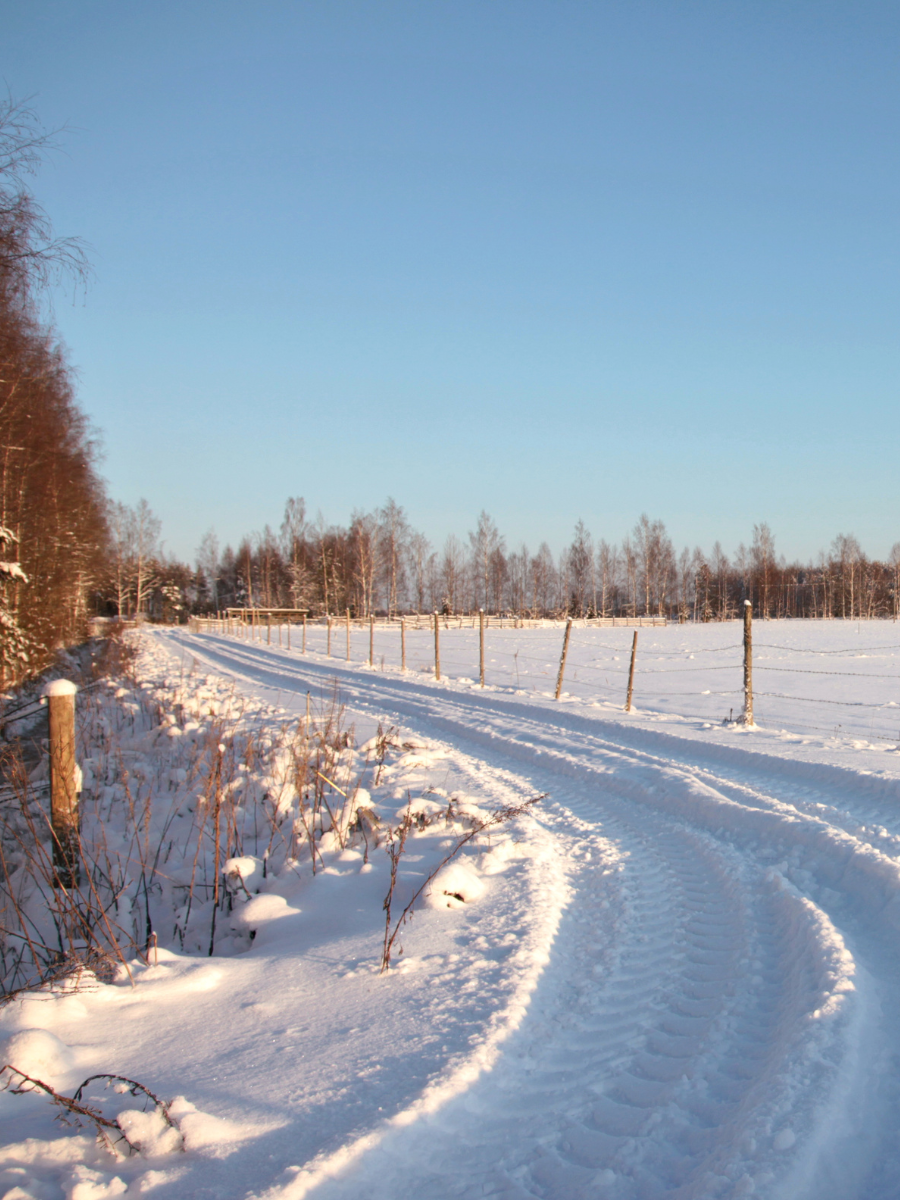 Navettavalkea pelto talvella tohmajärvi joensuu maatilakävelyt 1