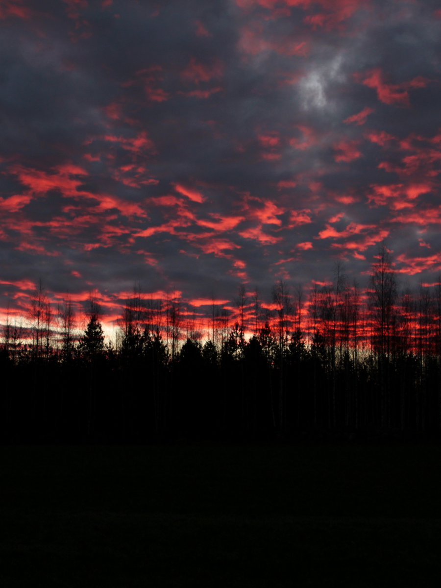 navettavalkea yöllä pelto metsä aunringonpaiste tohmajärvi joensuu maatilakävelyt