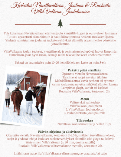 Kurkistus Navettavalkean Jouluun & Ruokailu VillaValkean Joulutuvassa joulupaketti