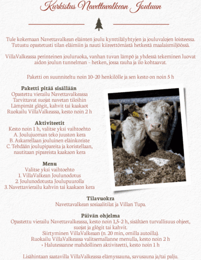 Kurkistus Navettavalkean Jouluun joulupaketti